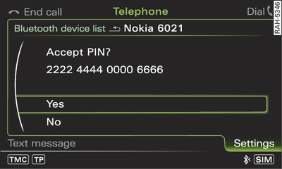 PIN display for entry on mobile phone